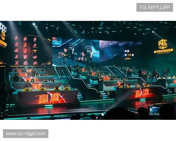 独家解析LNG战队历年比赛经验与其他战队的深度对比分析