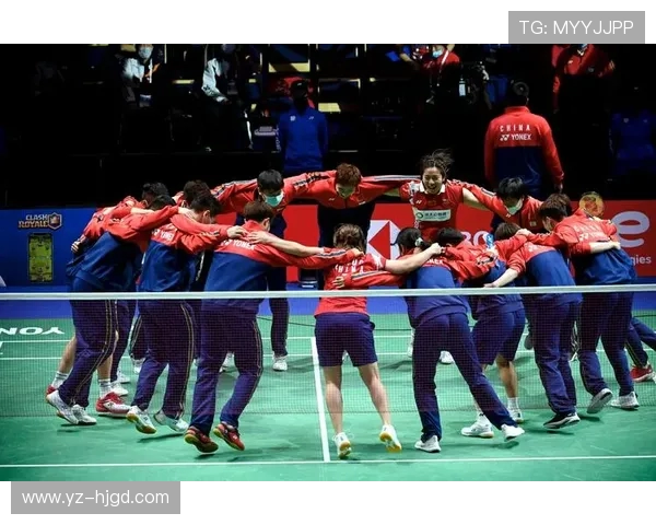 杭州羽毛球队灵活性深度对比分析及其影响因素探讨